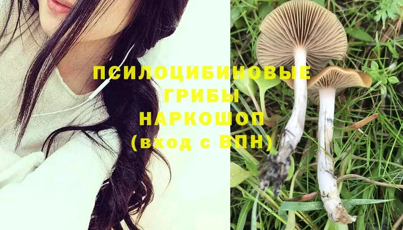 Галлюциногенные грибы Magic Shrooms  где купить наркоту  Медынь 